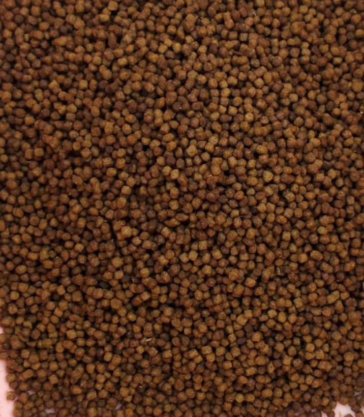 پرواری خاویاری مولد ویژه