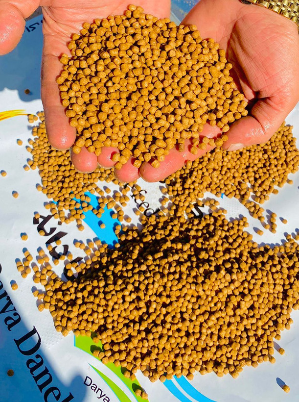 پرواری اکسترود کپور GFC1